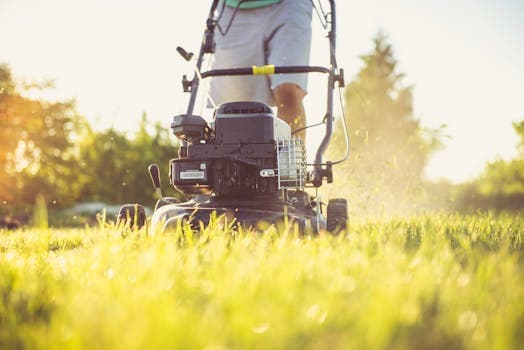 Best Robot Lawn Mowers Under $1000: Budget-Friendly Options