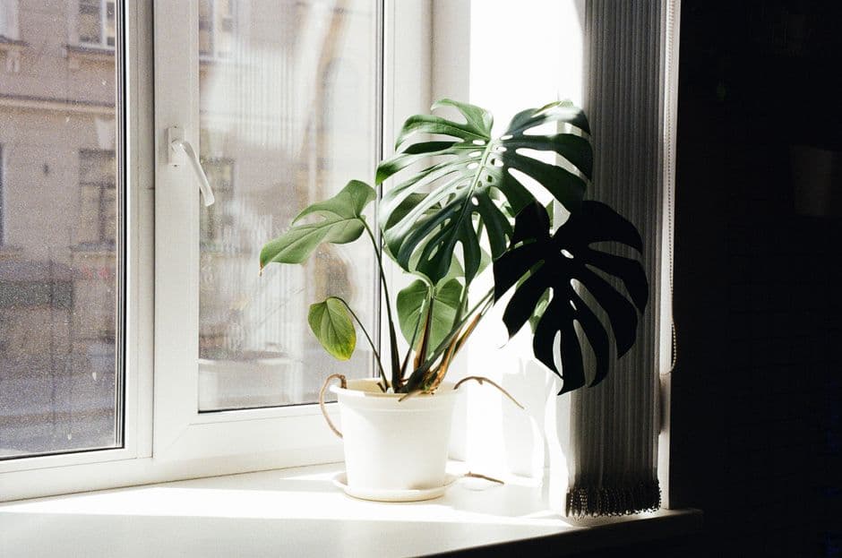 The Ultimate Guide to Smart Air Purifiers: Breathe Cleaner Air in 2026