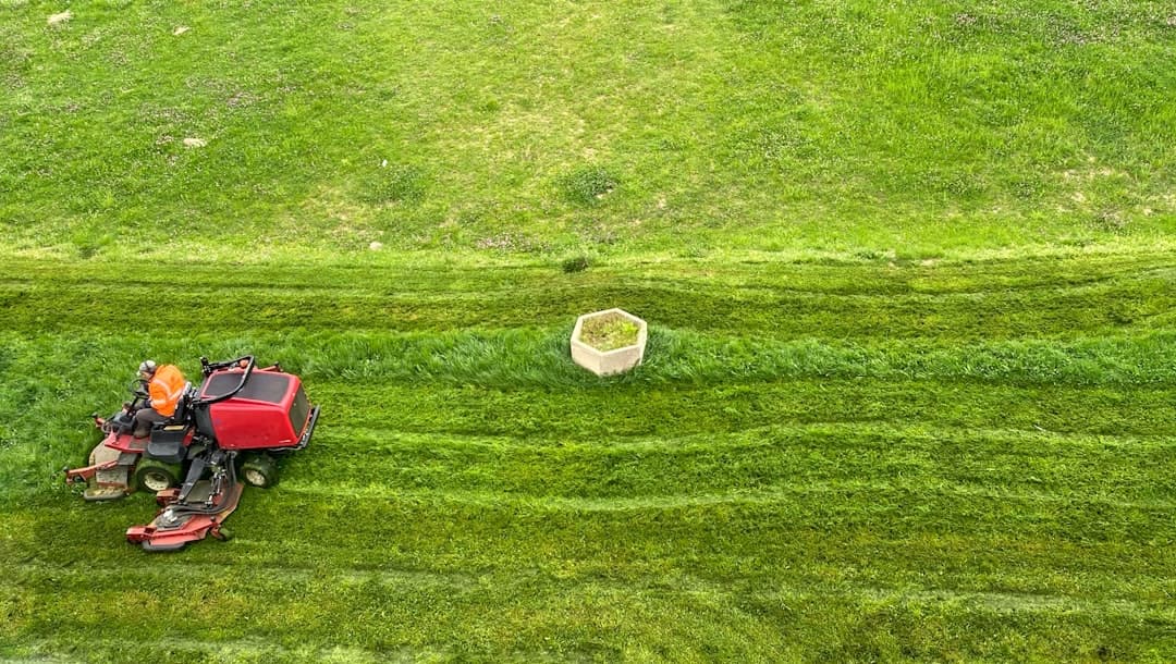 The Ultimate Guide to Automatic Lawn Mowers: Top 3 Picks for a Hands-Free Yard in 2026