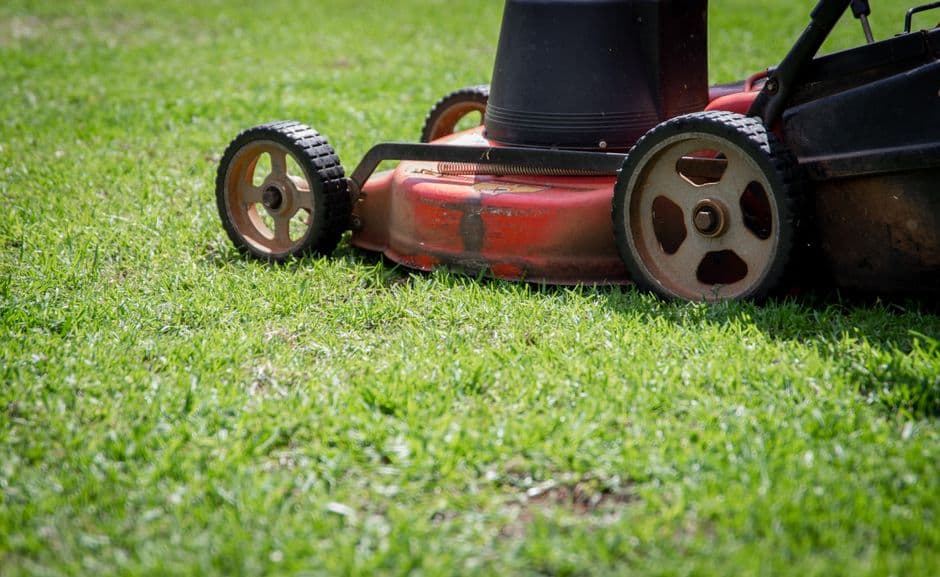 The Ultimate Guide to Automatic Lawn Mowers: Top Picks, Smart Features, and Buying Advice for 2026