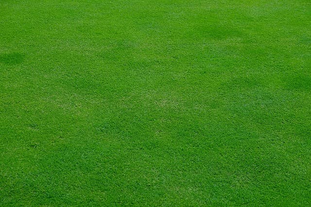 The Ultimate Guide to Automatic Lawn Mowers (2026): Ditch the Chores, Embrace the Future