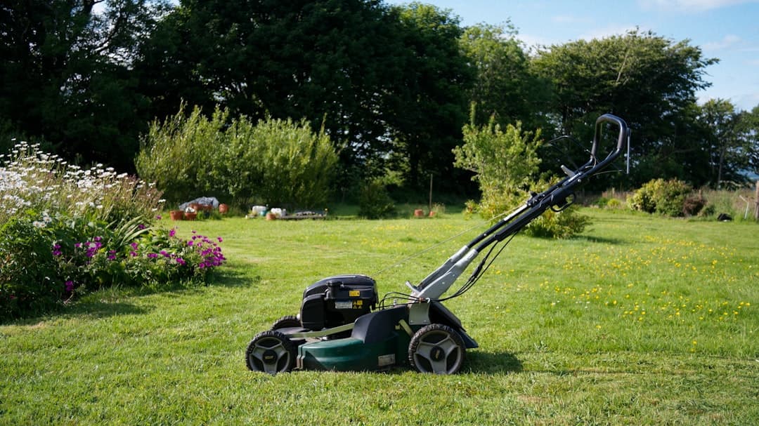 The Ultimate Guide to Automatic Lawn Mowers: Top Picks for 2026