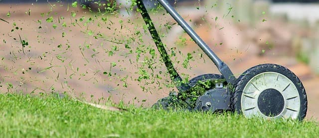 The Ultimate Guide to Automatic Mowers: Top 3 Robotic Lawn Mowers Reviewed for 2026