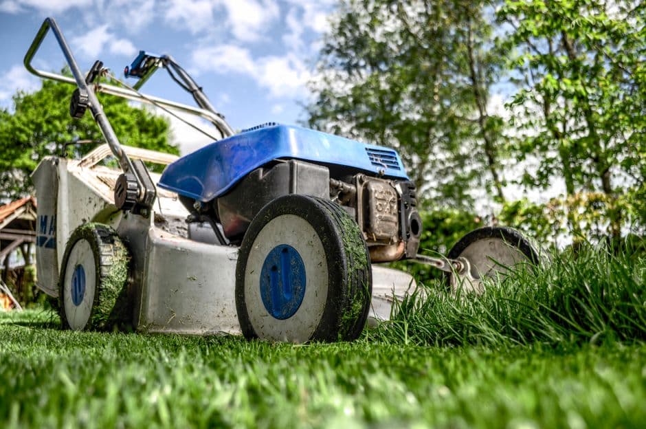 The Smart Lawn Mower Revolution: Navigating New Regulations and Choosing the Right Bot for Your Yard