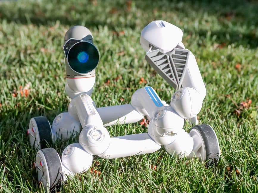 The Ultimate Guide to Robot Lawn Mowers: Top 3 Picks, Smart Home Integration, and Buying Advice for 2026