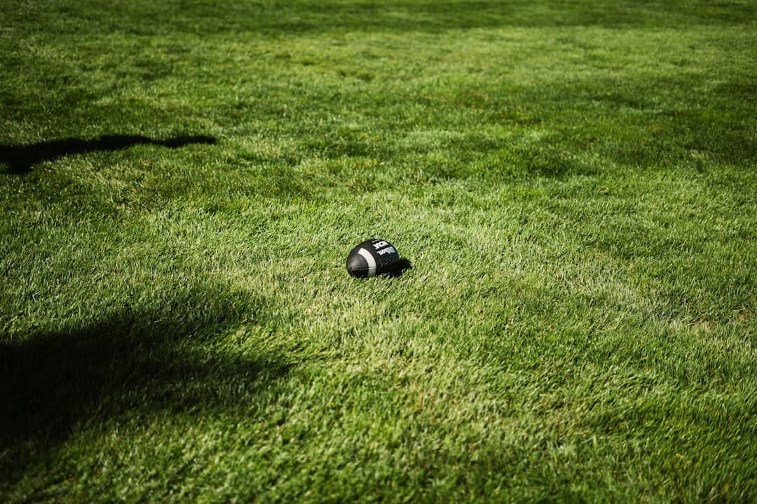The Ultimate Guide to Smart Lawn Mowers: Top Picks for 2026